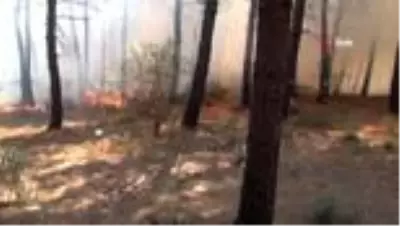 - Aydos Ormanında çıkan yangınla ilgili bir kişi gözaltına alındı - Aydos Ormanında çıkan yangınla ilgili bir kişi gözaltına alındı