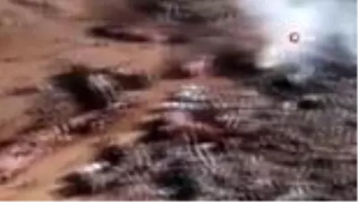 - Beyrut'taki patlamada ölü sayısı 113'e yükseldi- Liman yetkilileri hakkında ev hapsi kararı... - Beyrut'taki patlamada ölü sayısı 113'e yükseldi- Liman yetkilileri hakkında ev hapsi kararı...