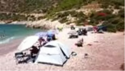 DATÇA'DA KOYLAR ÇADIRLARIN İŞGALİ ALTINDA DATÇA'DA KOYLAR ÇADIRLARIN İŞGALİ ALTINDA