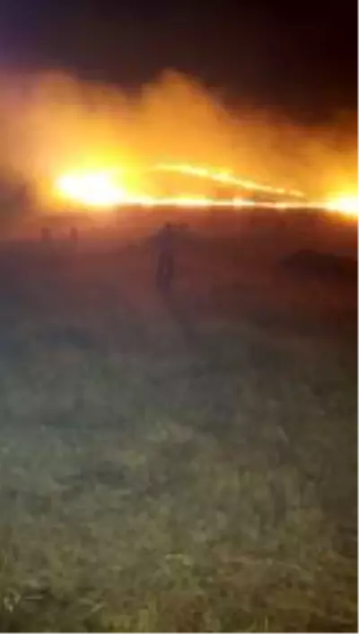 Gerger'de korkutan orman yangını Gerger'de korkutan orman yangını