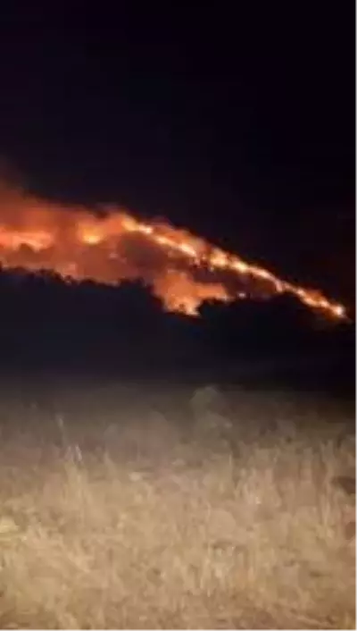 Gerger'de korkutan orman yangını Gerger'de korkutan orman yangını