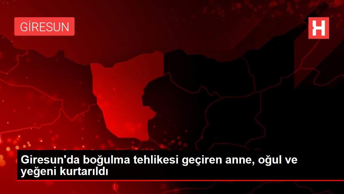 Giresun'da boğulma tehlikesi geçiren anne, oğul ve yeğeni kurtarıldı Giresun'da boğulma tehlikesi geçiren anne, oğul ve yeğeni kurtarıldı