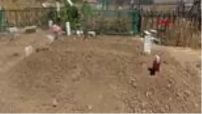Son dakika haberleri | HAKKARİ Kazada hayatını kaybeden ve evlilik hazırlığındaki Savaş ile Aysun toprağa verildi Son dakika haberleri | HAKKARİ Kazada hayatını kaybeden ve evlilik hazırlığındaki Savaş ile Aysun toprağa verildi