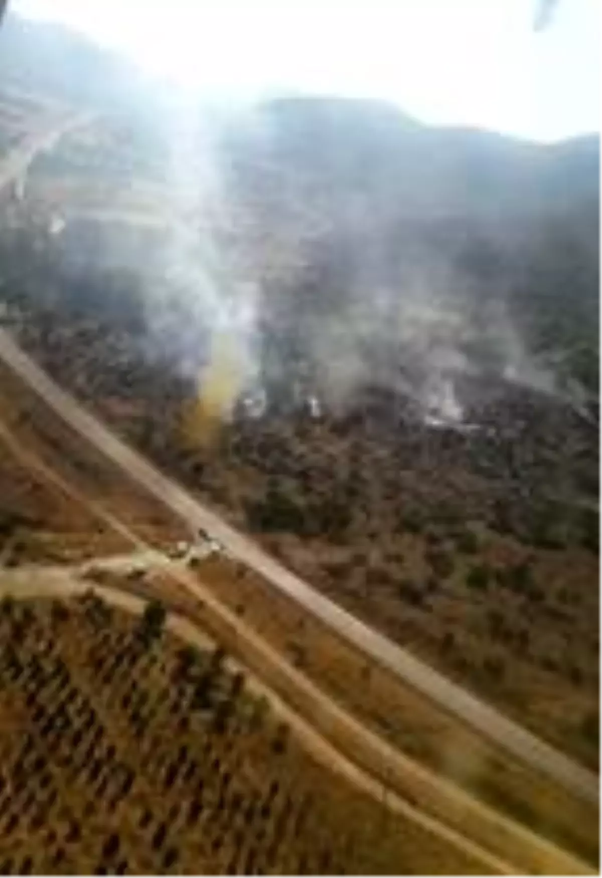 İzmir'de ormanlık alanda çıkan yangın kısa sürede kontrol altına alındı