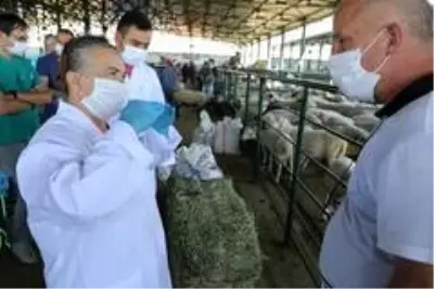 Kurban Bayramında Eskişehir'de 70 bin 815 hayvan kesildi Kurban Bayramında Eskişehir'de 70 bin 815 hayvan kesildi