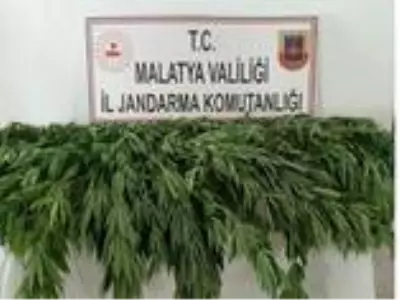 Malatya'da uyuşturucuya darbe Malatya'da uyuşturucuya darbe