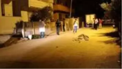 Mersin'de aile içi tartışma kanlı bitti! Hayırsız evlat tartıştığı babasına 6 el kurşun yağdırdı Mersin'de aile içi tartışma kanlı bitti! Hayırsız evlat tartıştığı babasına 6 el kurşun yağdırdı