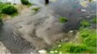 Son dakika haber | Önce rengi değişti, ardından yüzlerce balık öldü Son dakika haber | Önce rengi değişti, ardından yüzlerce balık öldü