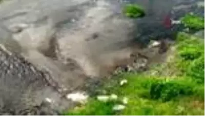 Son dakika haber | Önce rengi değişti, ardından yüzlerce balık öldü Son dakika haber | Önce rengi değişti, ardından yüzlerce balık öldü