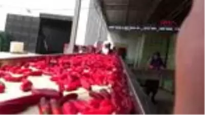 Pandemi salça ihracatını artırdı Pandemi salça ihracatını artırdı