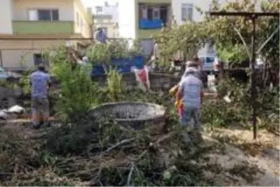 Sahibinin hayatını kaybettiği evden 3 kamyon çöp çıkarıldı Sahibinin hayatını kaybettiği evden 3 kamyon çöp çıkarıldı