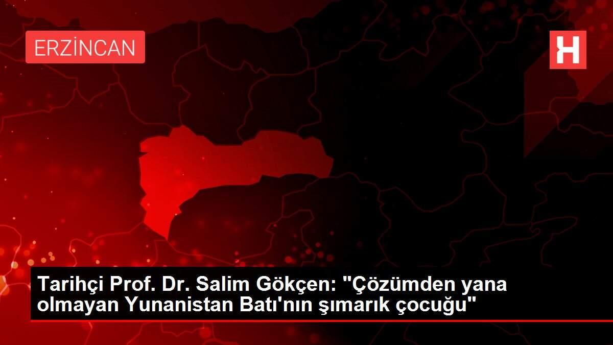 Tarihçi Prof. Dr. Salim Gökçen: