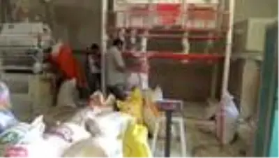 Tarladan toplanan buğdaylar, taş değirmenlerde öğütülüyor Tarladan toplanan buğdaylar, taş değirmenlerde öğütülüyor