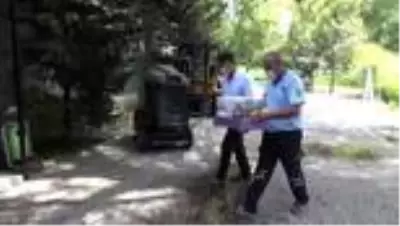 Yaralı bulunan şahin tedaviye alındı Yaralı bulunan şahin tedaviye alındı