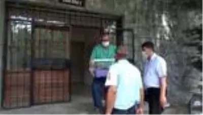 Yaralı bulunan şahin tedaviye alındı Yaralı bulunan şahin tedaviye alındı
