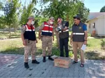 Son dakika haberleri: Yaralı doğana Mehmetçik şefkati Son dakika haberleri: Yaralı doğana Mehmetçik şefkati