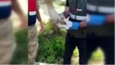 Yaralı doğana Mehmetçik şefkati Yaralı doğana Mehmetçik şefkati