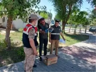 Son dakika haberleri: Yaralı doğana Mehmetçik şefkati Son dakika haberleri: Yaralı doğana Mehmetçik şefkati