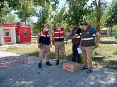 Son dakika haberleri: Yaralı doğana Mehmetçik şefkati Son dakika haberleri: Yaralı doğana Mehmetçik şefkati
