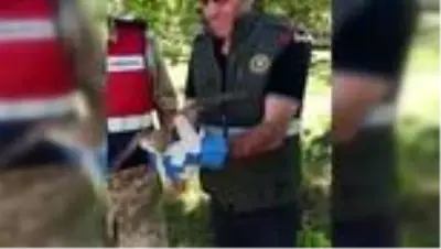 Yaralı doğana Mehmetçik şefkati Yaralı doğana Mehmetçik şefkati