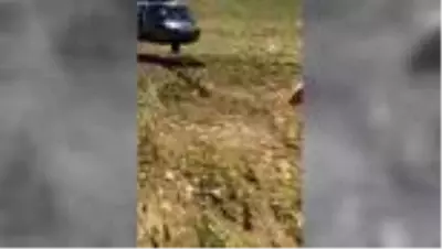 Yaylada rahatsızlanan çobanın yardımına Mehmetçik helikopterle yetişti Yaylada rahatsızlanan çobanın yardımına Mehmetçik helikopterle yetişti