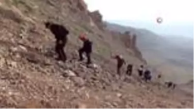 3 bin 917 rakımdaki manzara için 9 saat yürüyorlar 3 bin 917 rakımdaki manzara için 9 saat yürüyorlar