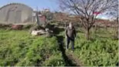 87 yaşında kuzine ustası, gençlere örnek oluyor 87 yaşında kuzine ustası, gençlere örnek oluyor