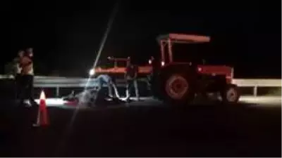 Araç çarpan 2 hayvan telef oldu Araç çarpan 2 hayvan telef oldu