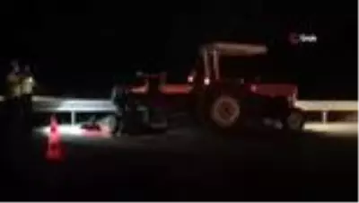 Aracın çarptığı 2 hayvan telef oldu Aracın çarptığı 2 hayvan telef oldu