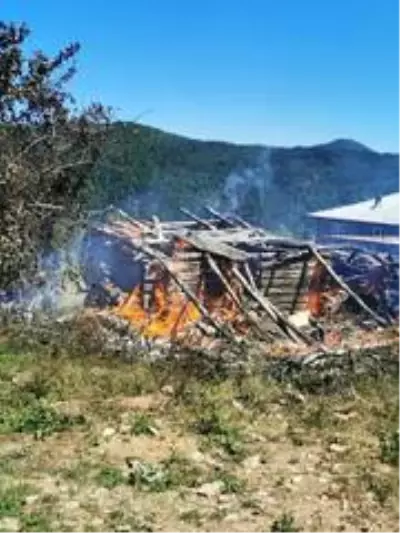 Ayancık'ta tek katlı ahşap ev kül oldu Ayancık'ta tek katlı ahşap ev kül oldu