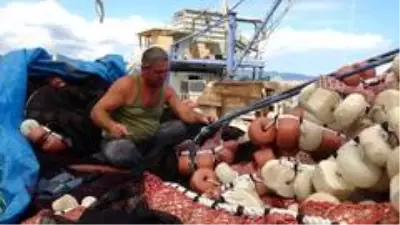 Balıkçılar yeni sezondan umutlu Balıkçılar yeni sezondan umutlu