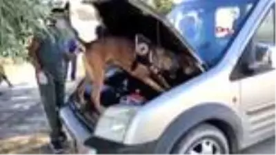 'Bobi' ile aramada kamyonette 15 kilo eroin ele geçirildi 'Bobi' ile aramada kamyonette 15 kilo eroin ele geçirildi