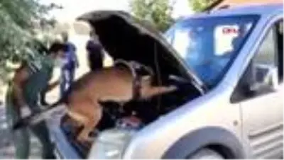 'Bobi' ile aramada kamyonette 15 kilo eroin ele geçirildi 'Bobi' ile aramada kamyonette 15 kilo eroin ele geçirildi