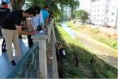 Çankırı'da çaya atlayan kadını itfaiye kurtardı Çankırı'da çaya atlayan kadını itfaiye kurtardı