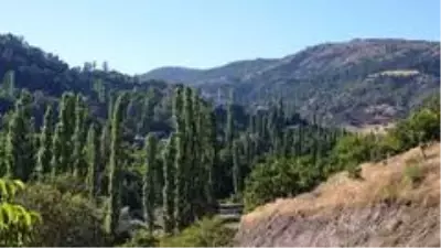 Çorum'da bir köy karantinaya alındı Çorum'da bir köy karantinaya alındı