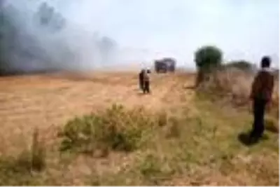 Demiri için yakılan kanepeden sıçrayan kıvılcımlar orman yangınına sebep oldu
