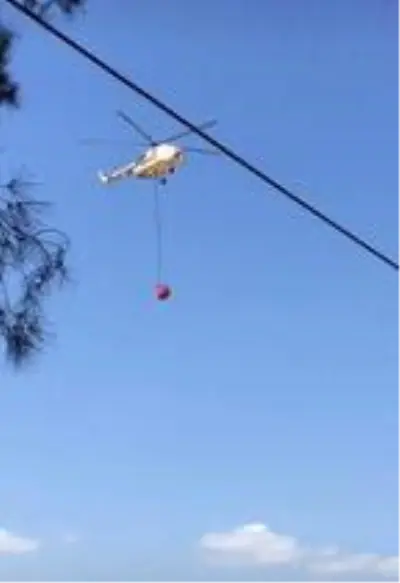 Demiri için yakılan kanepeden sıçrayan kıvılcımlar orman yangınına sebep oldu