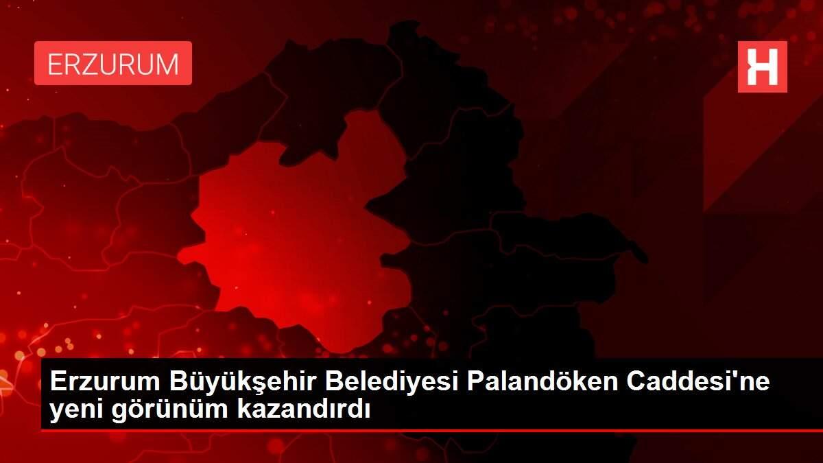 Erzurum Büyükşehir Belediyesi Palandöken Caddesi'ne yeni görünüm kazandırdı Erzurum Büyükşehir Belediyesi Palandöken Caddesi'ne yeni görünüm kazandırdı
