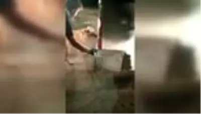 Son dakika haber: Hakkari'de uyuşturucu operasyonu Son dakika haber: Hakkari'de uyuşturucu operasyonu