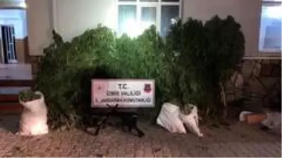 İzmir'de jandarmadan operasyon İzmir'de jandarmadan operasyon