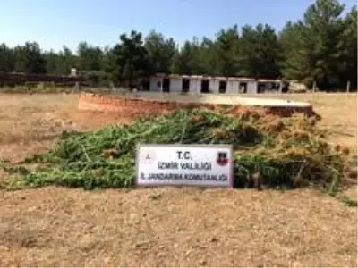 İzmir'de jandarmadan operasyon İzmir'de jandarmadan operasyon