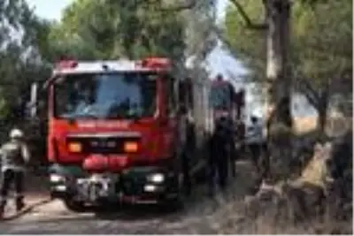 İzmir'de mahalle yakınında orman yangını (2) İzmir'de mahalle yakınında orman yangını (2)
