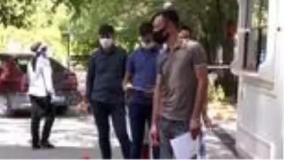 'Kınalı kuzulara' Covid-19 testi 'Kınalı kuzulara' Covid-19 testi