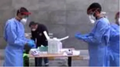 'Kınalı kuzulara' Covid-19 testi 'Kınalı kuzulara' Covid-19 testi