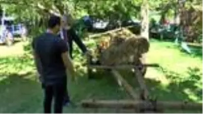 Kurbanlıkların yüzde 99'u satıldı Kurbanlıkların yüzde 99'u satıldı