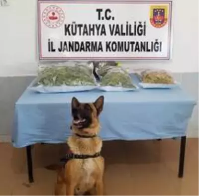 Kütahya'da evin çatısında bin 530 gram kubar esrar ele geçirildi Kütahya'da evin çatısında bin 530 gram kubar esrar ele geçirildi