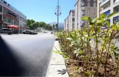 Palandöken Caddesi'ne Büyükşehir eli değdi Palandöken Caddesi'ne Büyükşehir eli değdi
