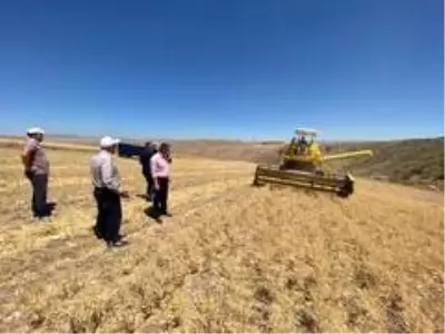 Pursaklar'da tohumlar mahsule döndü Pursaklar'da tohumlar mahsule döndü