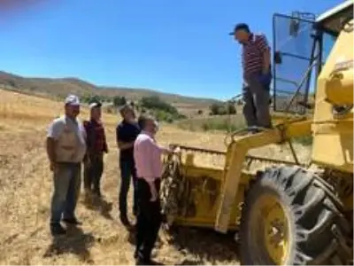 Pursaklar'da tohumlar mahsule döndü Pursaklar'da tohumlar mahsule döndü