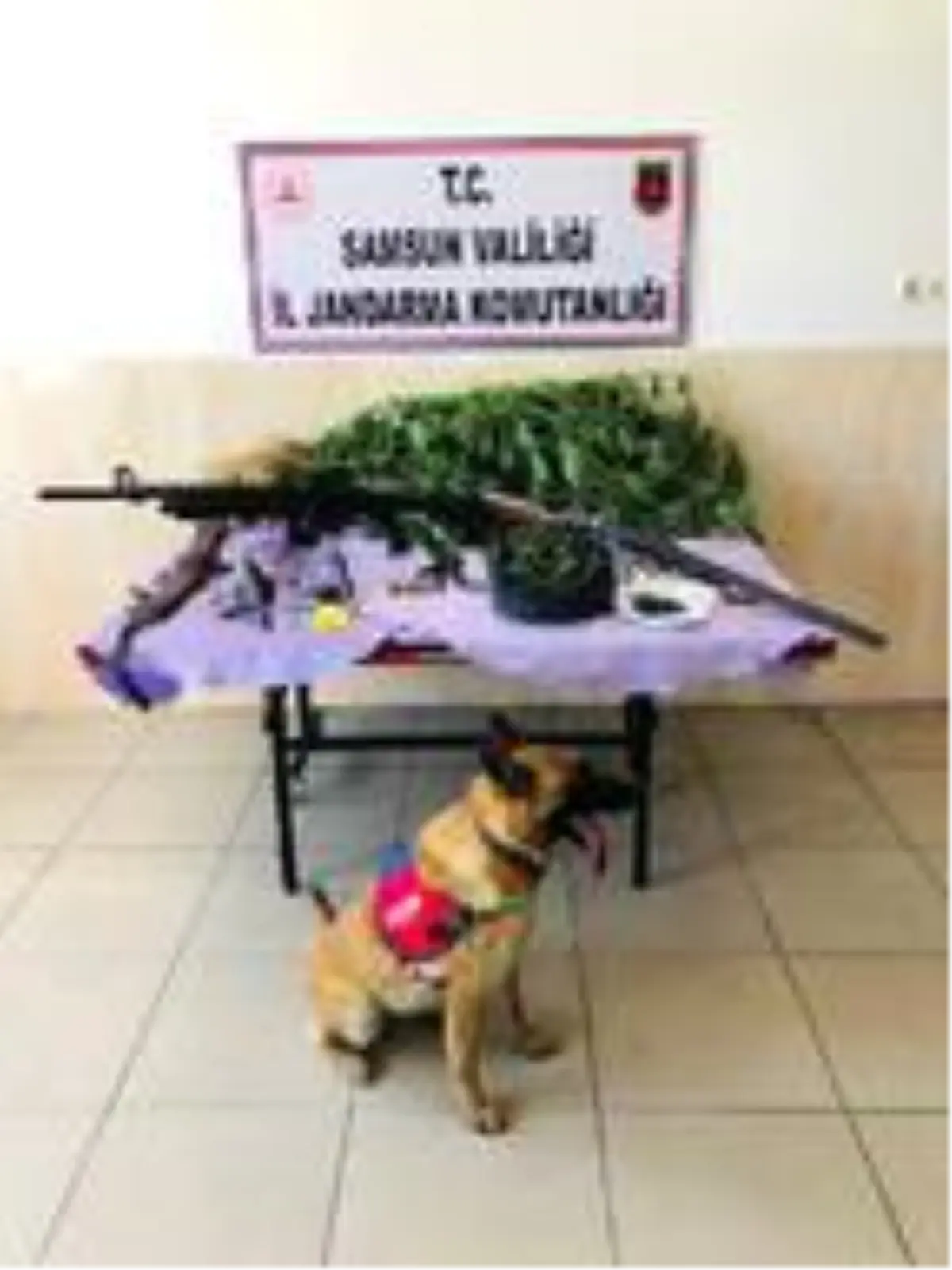 Samsun'da uyuşturucu operasyonu: 12 gözaltı